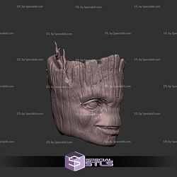 Custom Head STL Groot Smiling