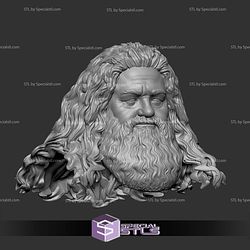 Custom Head STL Hagrid Harry Potter