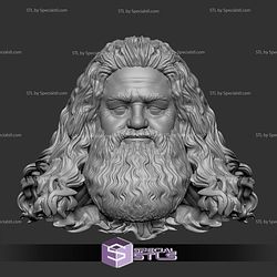 Custom Head STL Hagrid Harry Potter