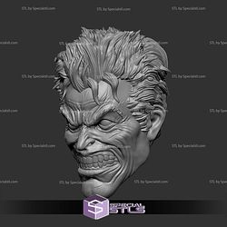 Custom Head STL Joker V2 Angry