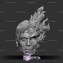 Custom Head STL Johnny Blaze Ghost Rider