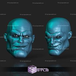 Custom Head STL Mauler Twin Smile
