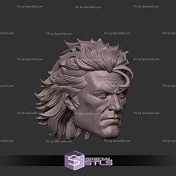 Custom Head STL Magneto V3