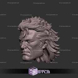 Custom Head STL Magneto V3
