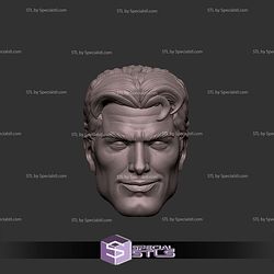 Custom Head STL Mr Fantastic Smirking