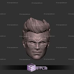 Custom Head STL Robin The Dark Knight Smirking