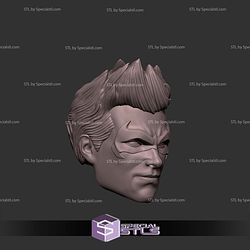 Custom Head STL Robin The Dark Knight Smirking