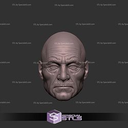 Custom Head STL Professor X Old