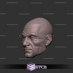 Custom Head STL Professor X Old