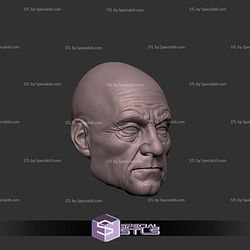 Custom Head STL Professor X Old