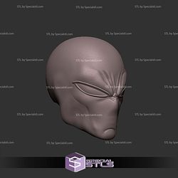 Custom Head STL Spiderman Ben Reilly V2