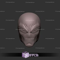 Custom Head STL Spiderman Ben Reilly V2