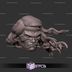 Custom Head STL Warpath X Men