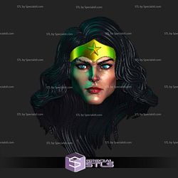 Custom Head STL Wonder Woman Alex Ross