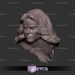 Custom Head STL Wonder Woman Alex Ross