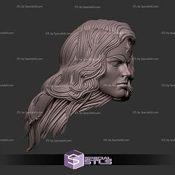 Custom Head STL Wonder Woman Alex Ross