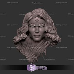 Custom Head STL Wonder Woman Alex Ross