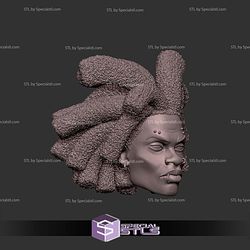 Custom Head STL Hobie Spider Punk