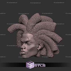Custom Head STL Hobie Spider Punk