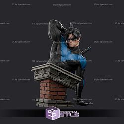 Nightwing Shadow of Bat Bust STL Files