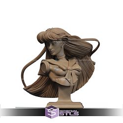 Sailor Mars Rei Hino Flame Priestess Bust STL Files