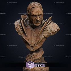 Simple STL Collection Gorbag Bust