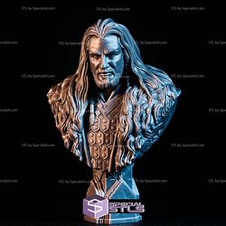 Simple STL Collection Thorin Oakenshield Bust