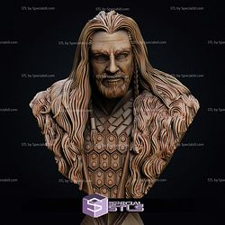 Simple STL Collection Thorin Oakenshield Bust