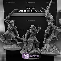 June 2025 Arbiter Miniatures