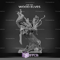 June 2025 Arbiter Miniatures