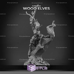 June 2025 Arbiter Miniatures