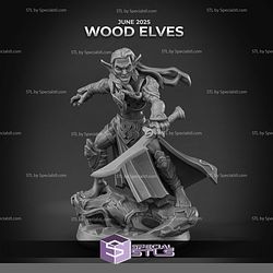 June 2025 Arbiter Miniatures