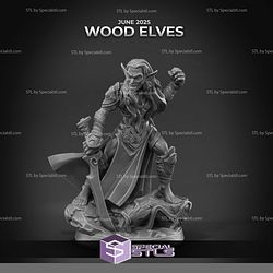June 2025 Arbiter Miniatures