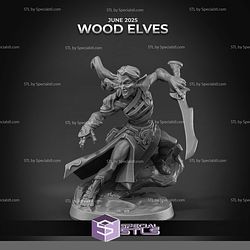 June 2025 Arbiter Miniatures