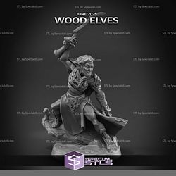 June 2025 Arbiter Miniatures