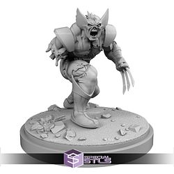 June 2025 C27 Collectibles Miniatures