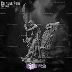 June 2025 Claymore Miniatures