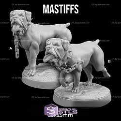 June 2025 Dungeon Classics Miniatures