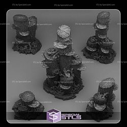 June 2025 Fantastic Plants and Rocks Miniatures