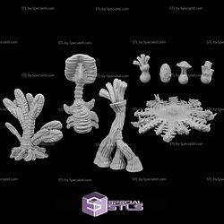 June 2025 Mantic Vault Miniatures