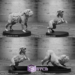 June 2025 Set 129 - Cultist Circle Epic Miniatures