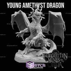 June 2025 The Dragon Trappers Lodge Miniatures