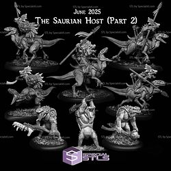 June 2025 Warp Miniatures