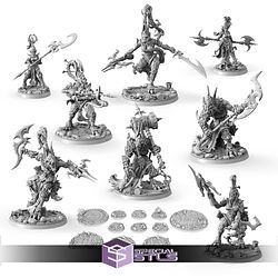 July 2025 Signum Workshop Miniatures