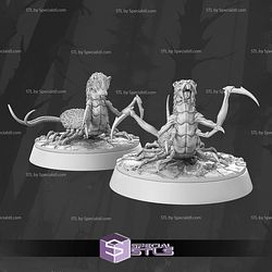 July 2025 STL Miniatures