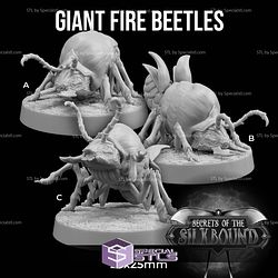 July 2025 The Dragon Trappers Lodge Miniatures