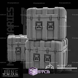 June 2025 Unit 9 Miniatures