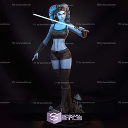 Aayla Secura Blue 3D Printer Files