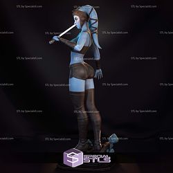 Aayla Secura Blue 3D Printer Files