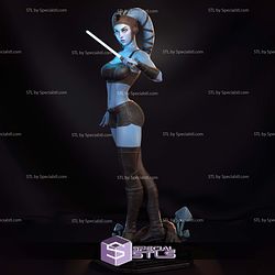 Aayla Secura Blue 3D Printer Files